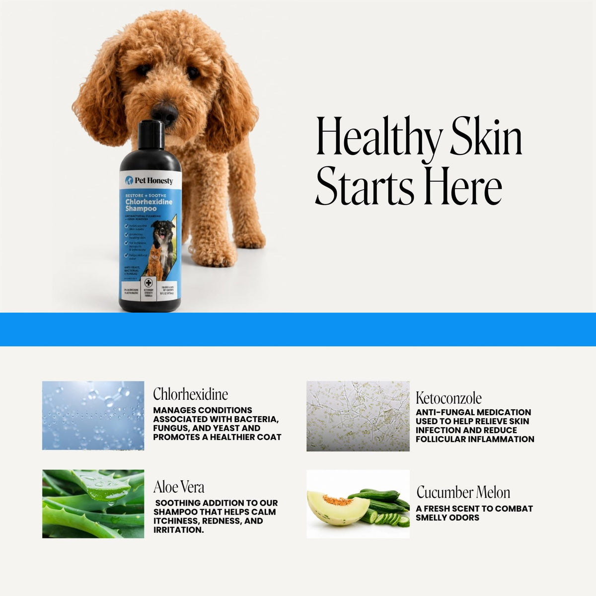 Chlorhexidine Dog Shampoo 16oz V429