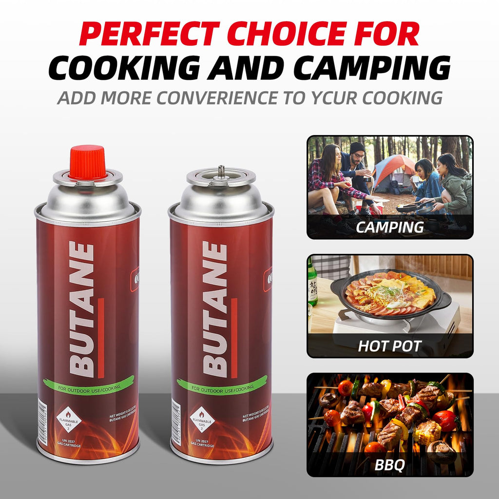 Butane Fuel Canister 12 x 8oz H315
