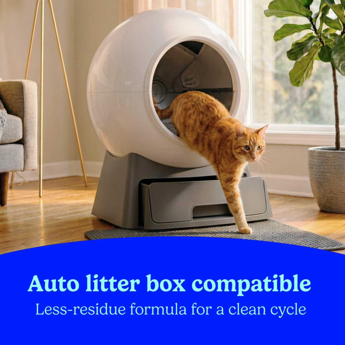Unscented Multi Cat Clumping Cat Litter, 18.5 lb T53697