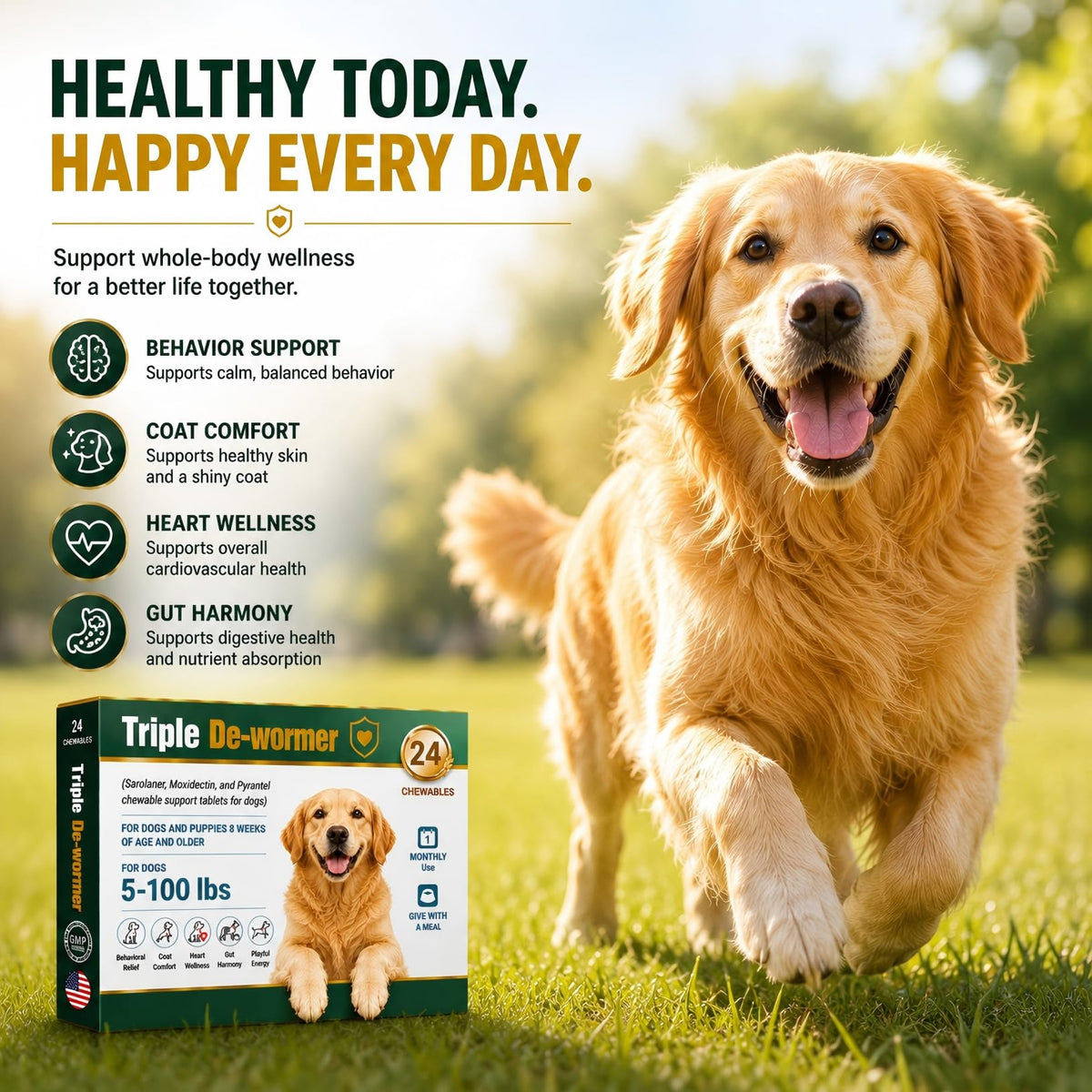 Broad Spectrum Dog Dewormer Tablets with Pyrantel Pamoate, 24 Tablets Y17629