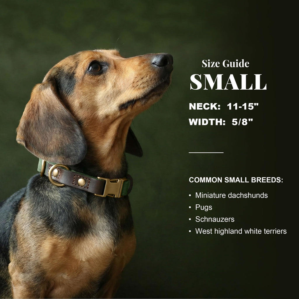 PU Leather Dog Collar Z415285