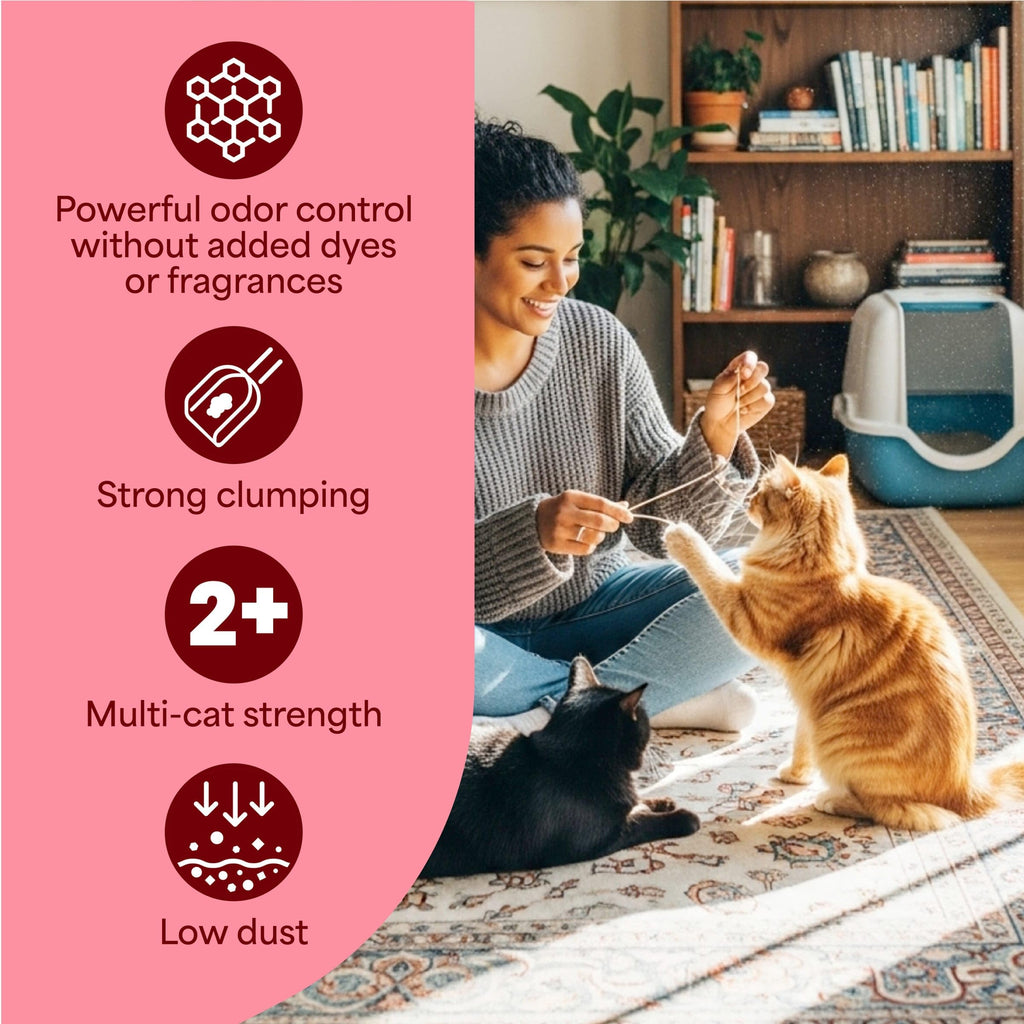 Unscented Multi Cat Clumping Cat Litter, 18.5 lb T53697