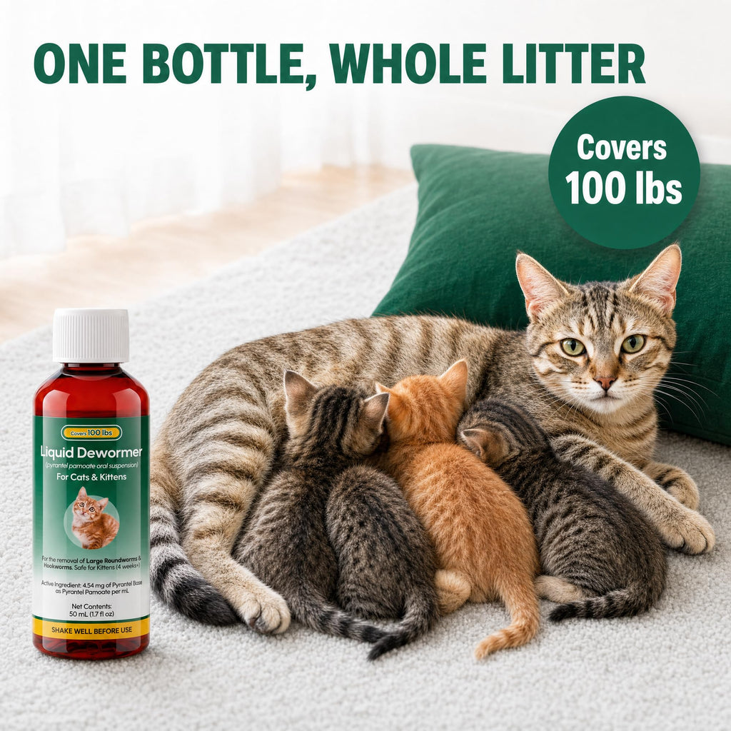Pyrantel Pamoate Dewormer for Cats & Kittens 50ml D52275