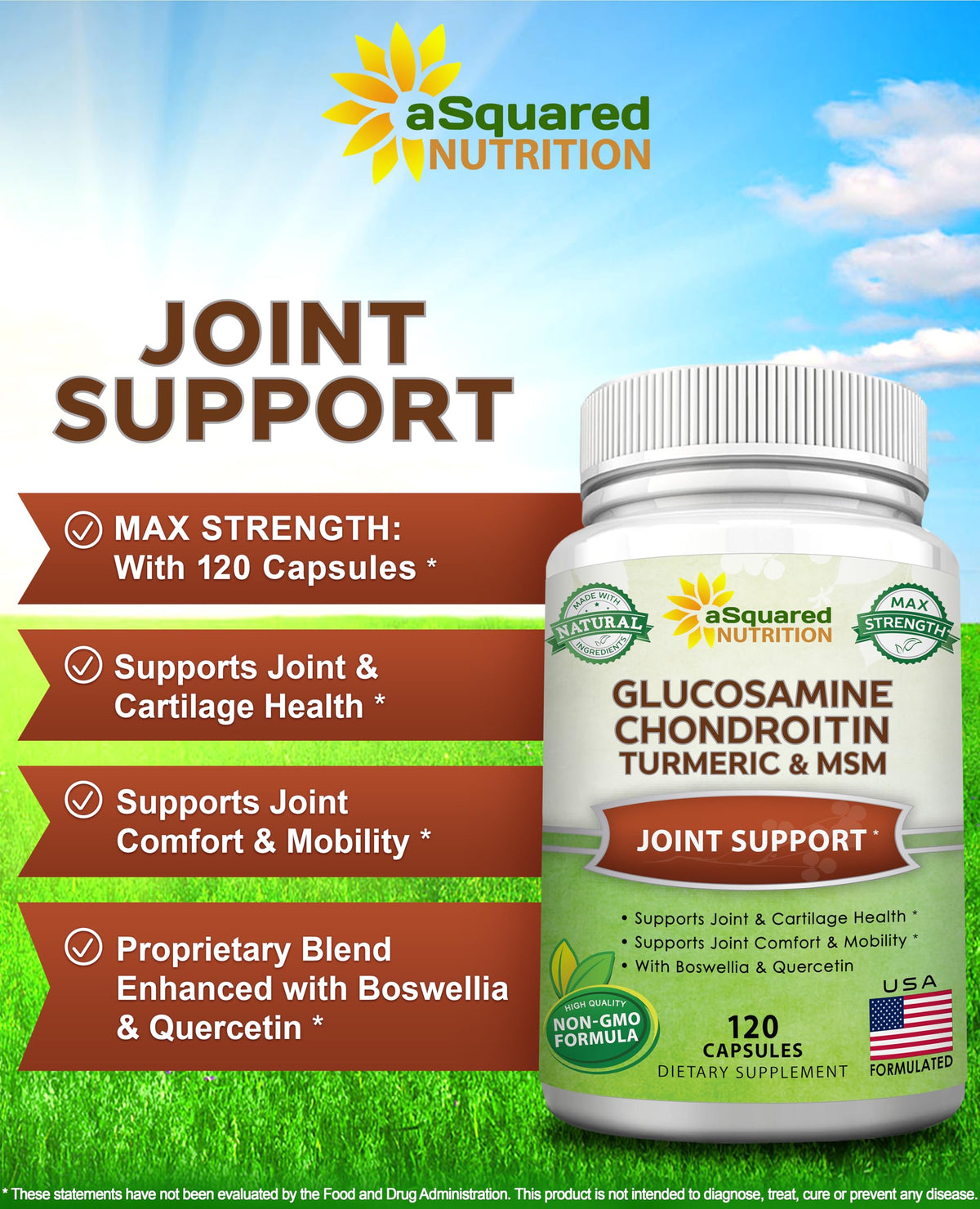 Glucosamine Chondroitin Turmeric MSM Boswellia 120 Capsules Supplement N19521