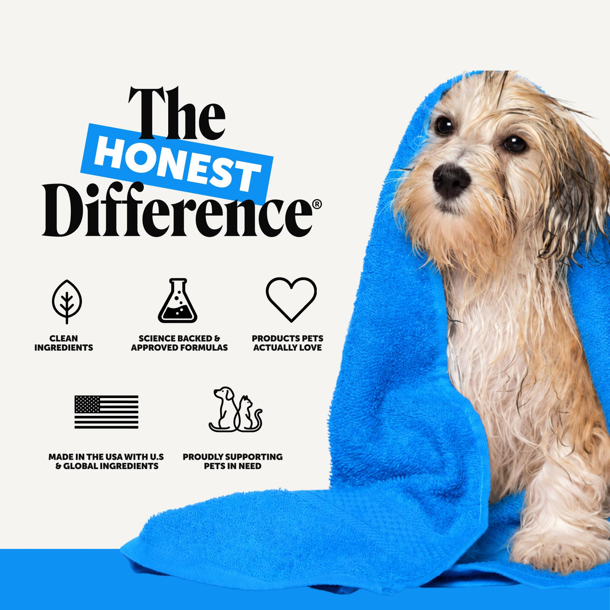 Chlorhexidine Dog Shampoo 16oz V429