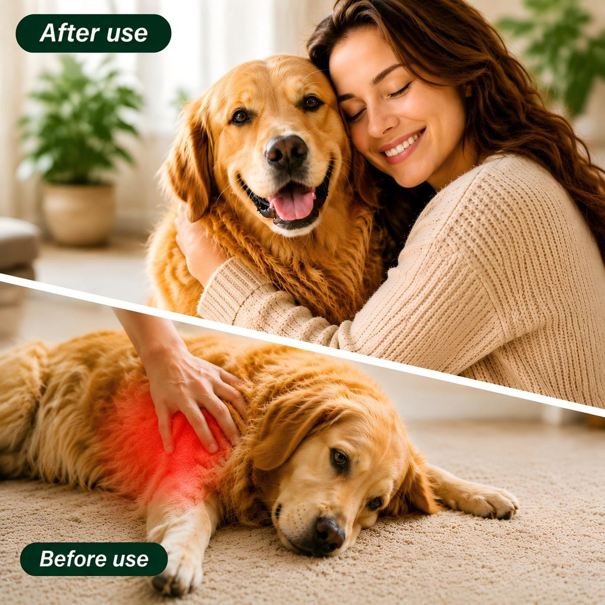 Broad Spectrum Dog Dewormer Tablets with Pyrantel Pamoate, 24 Tablets Y17629