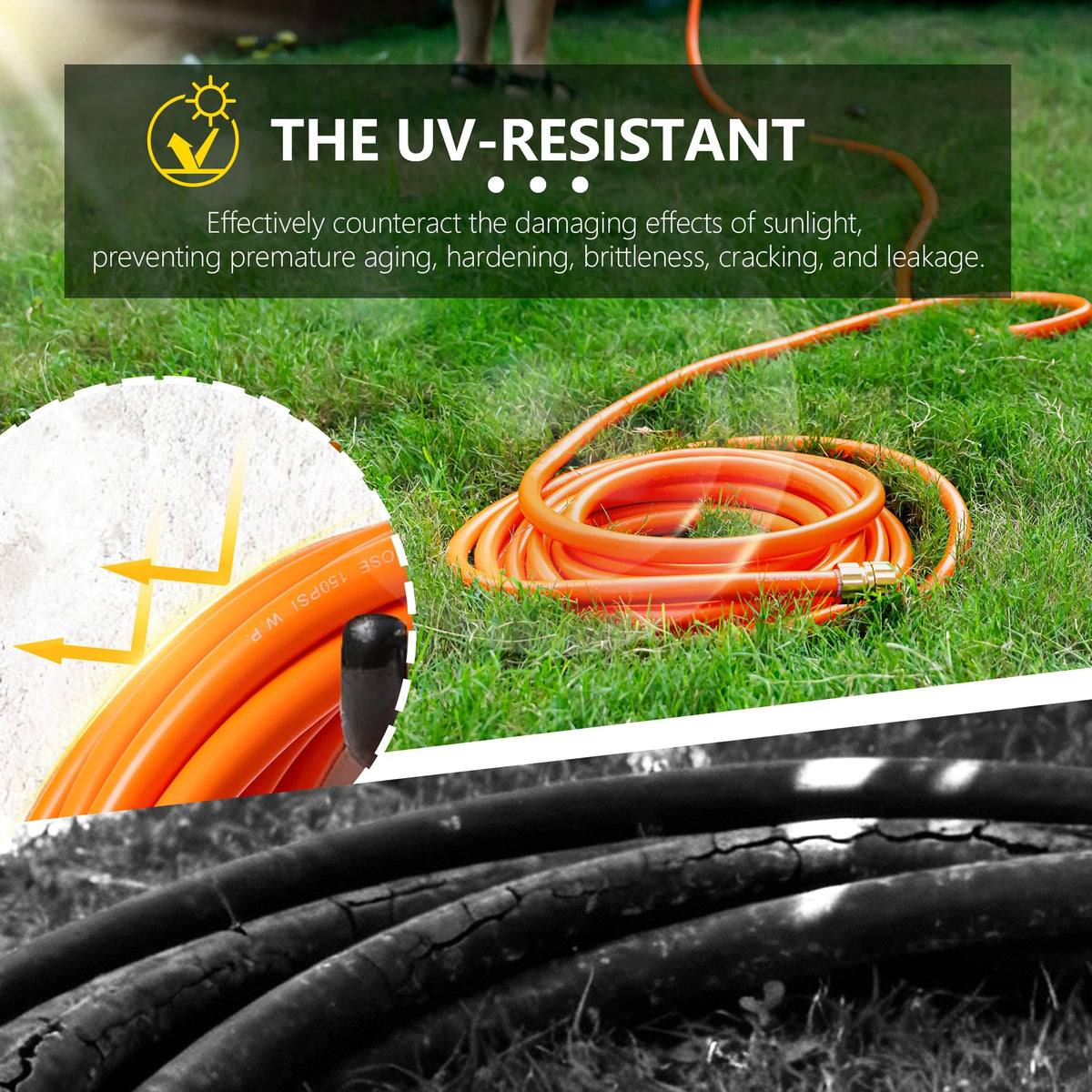 100ft x 5/8" All-weather Flexible Garden Hose T9894