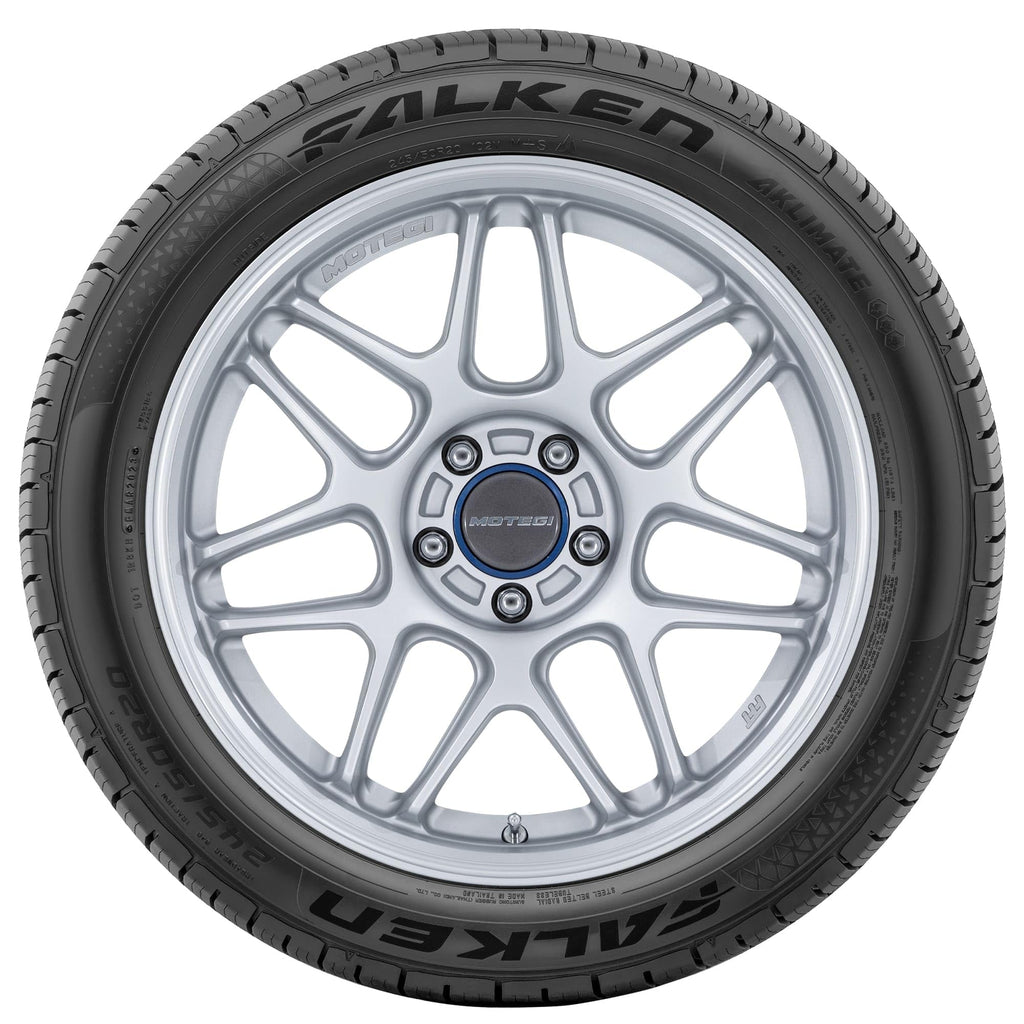 205/65R15 99H XL All Weather Passenger Tire Q30211