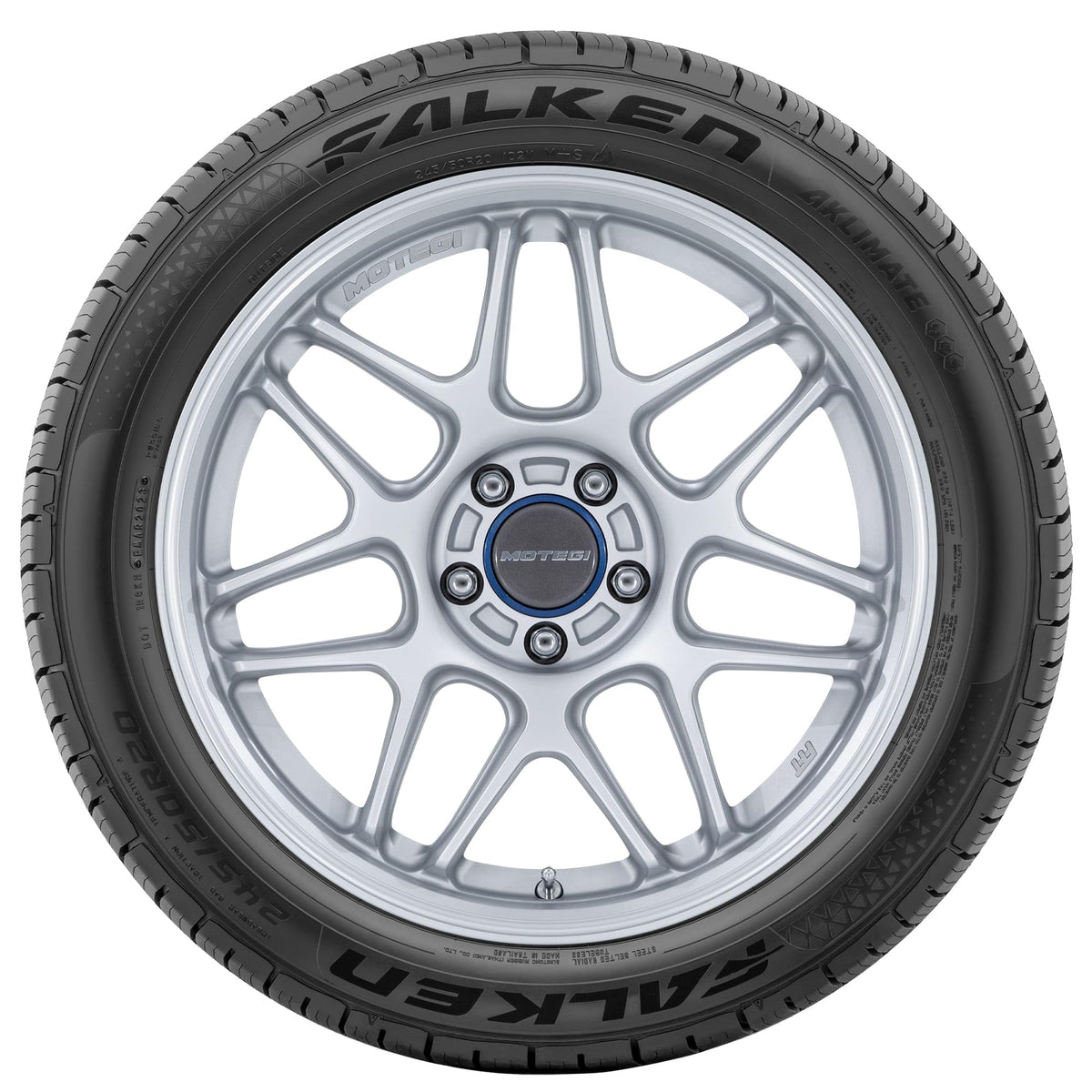 205/65R15 99H XL All Weather Passenger Tire Q30211