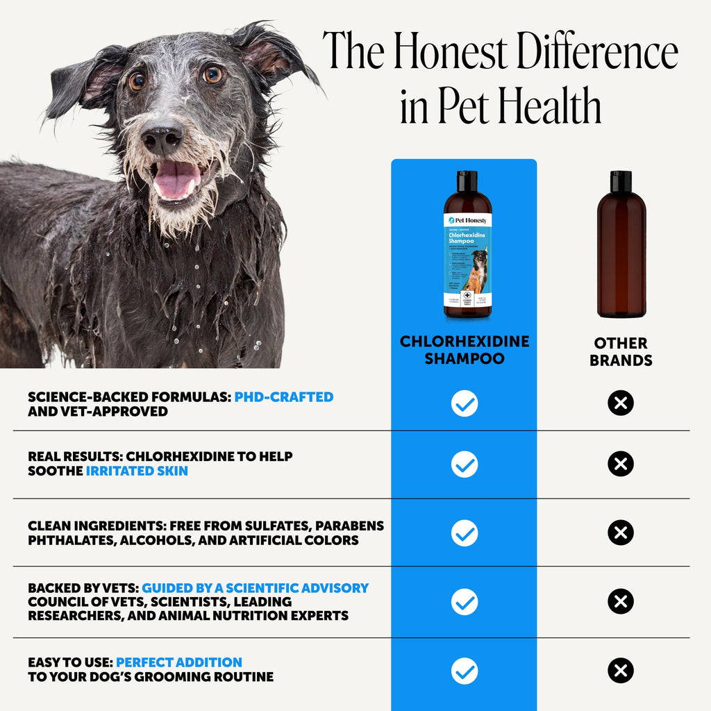 Chlorhexidine Dog Shampoo 16oz V429