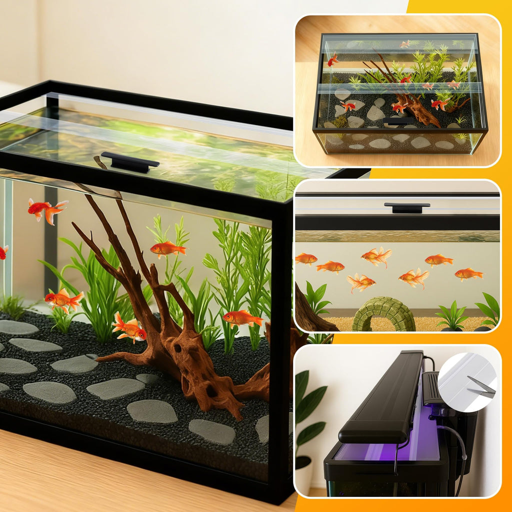 Clear Tempered Glass Canopy Z95555