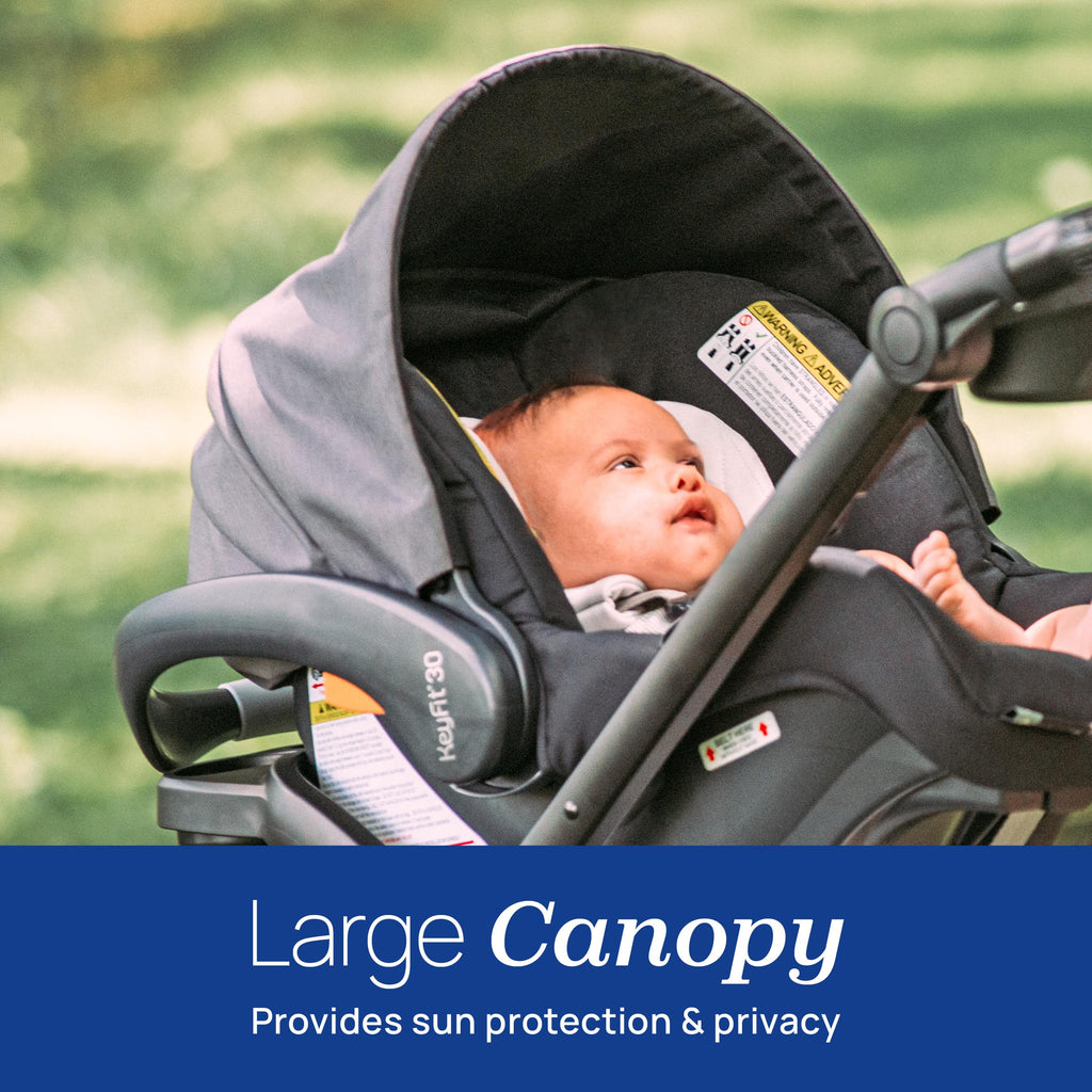 Rear-Facing Infant Car Seat with Base C3105