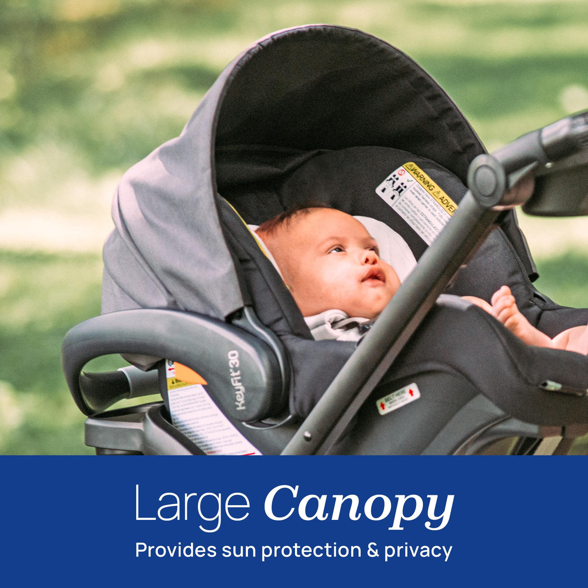 Rear-Facing Infant Car Seat with Base C3105